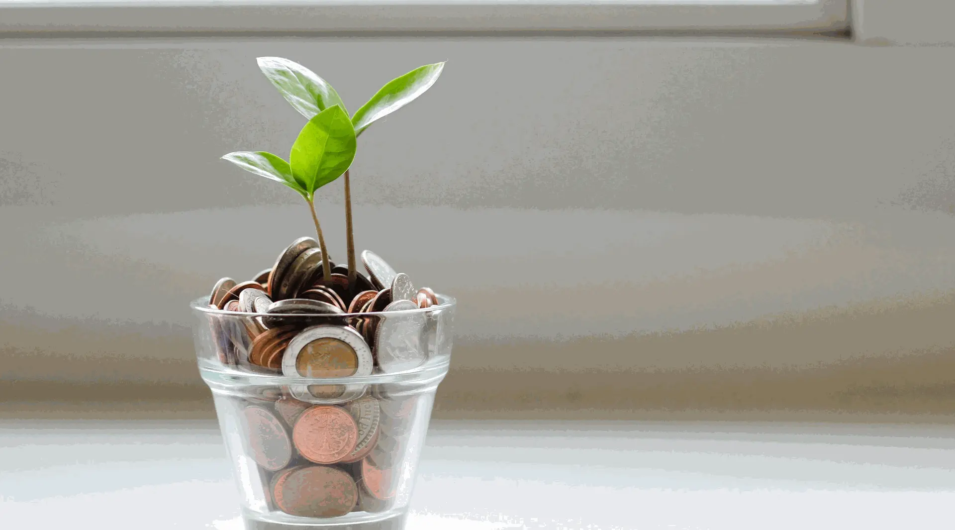 Optimisation fiscale Optimisation fiscale
